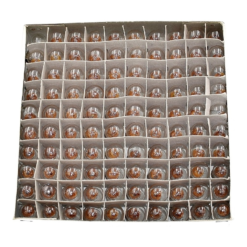 Maxxus Ampoule Pour Feu Avant De Vélo 2,4 W 6 V - Par 100 -Sonnettes et klaxons pour vélo Soldes ampoule pour feu avant de velo 24 w 6 v par 100 2