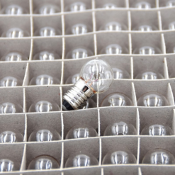 Maxxus Ampoule Pour Feu Avant De Vélo 2,4 W 6 V - Par 100