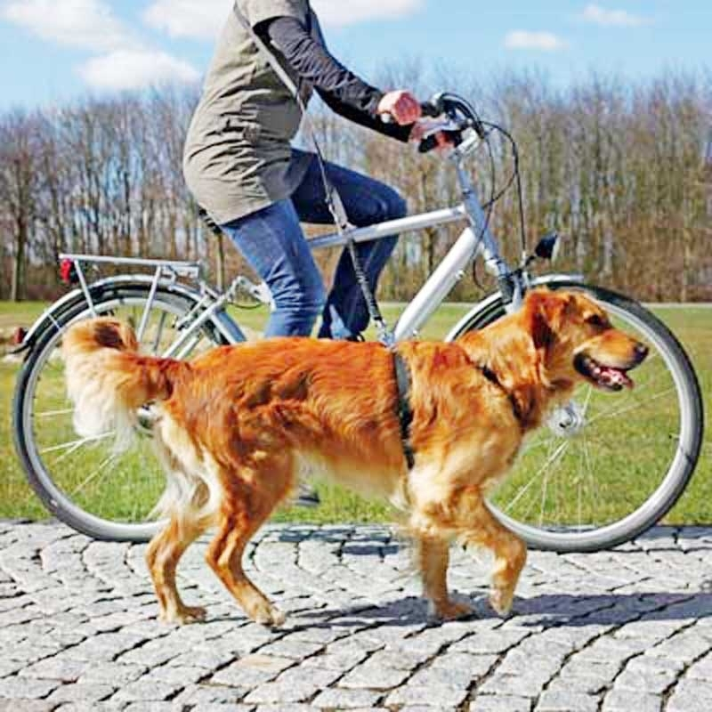 Trixie Laisse Pour Chien Spéciale Vélo Et Jogging 2 Trixie Laisse Pour Chien Spéciale Vélo Et Jogging – Image 2
