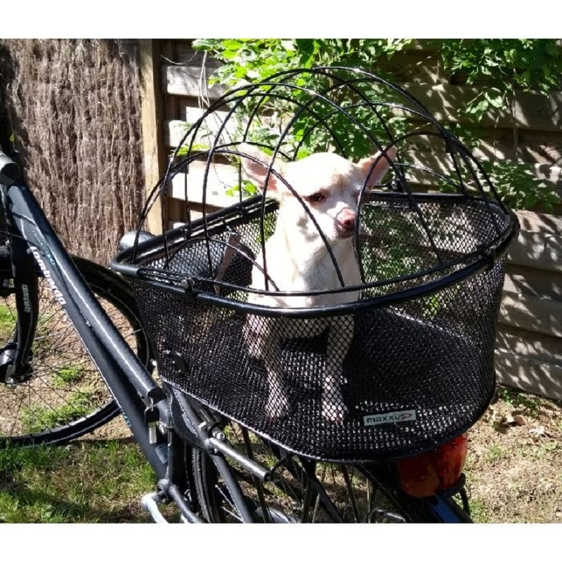 Maxxus Panier Vélo Pour Petit Chien En Acier Sur Porte Bagages 2 Maxxus Panier Vélo Pour Petit Chien En Acier Sur Porte Bagages – Image 2